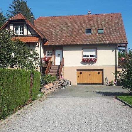 Gite "Le Platane" 45 M2 - Climatise Monswiller Exterior foto