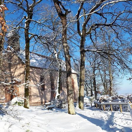 Gite "Le Platane" 45 M2 - Climatise Monswiller Exterior foto