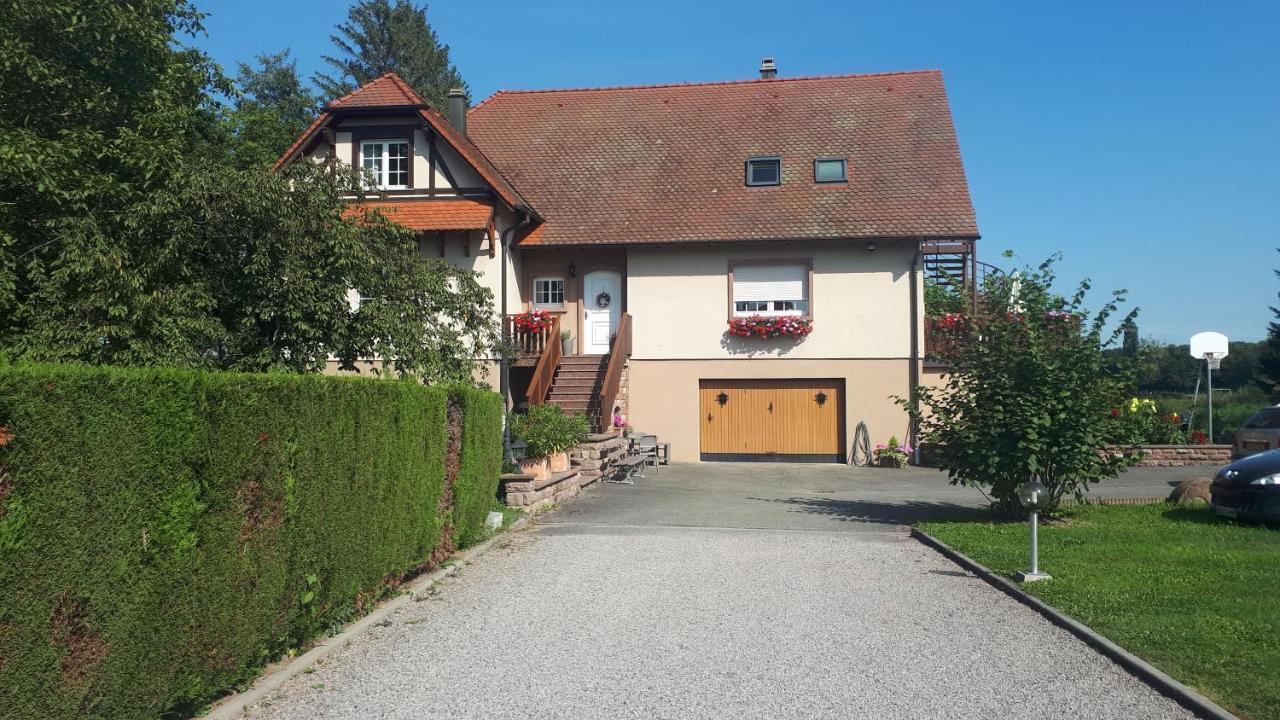Gite "Le Platane" 45 M2 - Climatise Monswiller Exterior foto